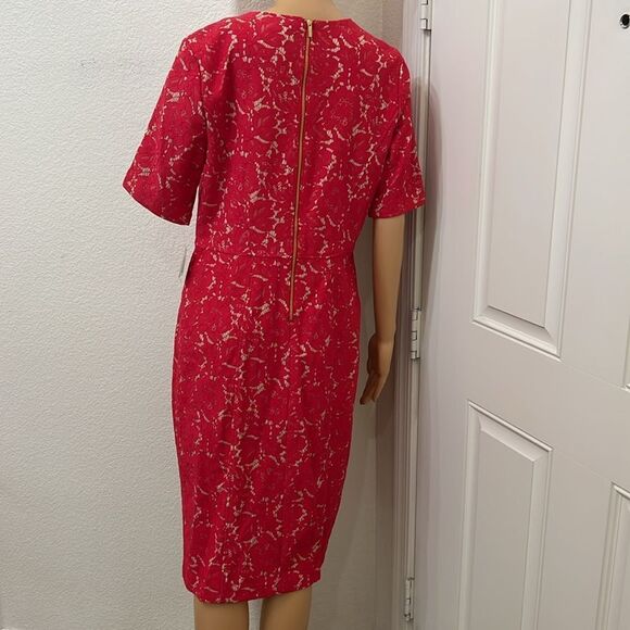 Taylor Elegant Red Floral Lace Dress Scoop Neck Short Sleeve Midi Size 14 New - Picture 8 of 14